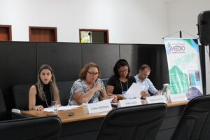 36ª Reunião Plenária Ordinária do CBH-MPS